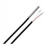 CT4 temperatūrinis jutiklis