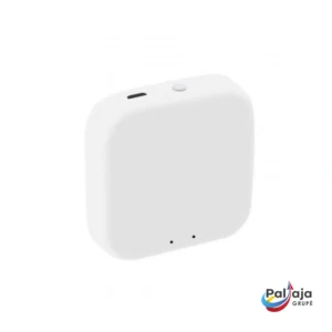 Tuya SMART Euroster B1Z ZigBee valdiklis Paltaja