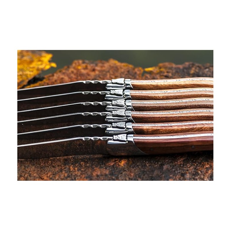 Steiko peilių rinkinys Forged Luxury Line Pakka Rose – Paveikslėlis 3